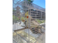 cockatiel-birds-with-cage-food-accessories-small-2