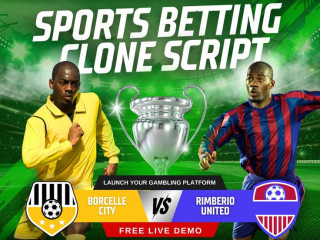 Feature-Rich Sports Betting Clone Script for Maximum Engagement & Revenue