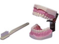 orthodontic-supplies-manufacturers-small-0