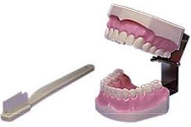 orthodontic-supplies-manufacturers-big-0